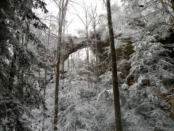 Snow on the Rough Trail